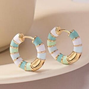 ✨Anthropologie Breton Striped Earrings